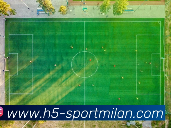 米兰体育APP 封面图